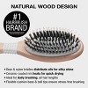 Conair Ceramic Wood Nylon & Boar Bristle Cushion Hair Brush - All Hair - 4 of 4