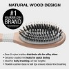 Conair Ceramic Wood Nylon & Boar Bristle Cushion Hair Brush - All Hair - image 4 of 4