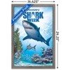 Trends International Shark Week - Shark Adventure Framed Wall Poster Prints - 3 of 4