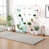 Tangkula 5-Tier Metal Plant Stand, Heart-shaped Plant Shelf Tiered Plant Stand with 4 Hanging Hooks, Wide Slatted Platform Black/Pink & Blue/White - 2 of 4