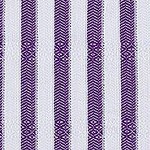 purple zebra