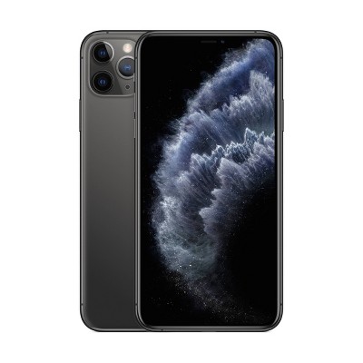 Apple Iphone 11 Pro Max (256gb) - Space Gray : Target