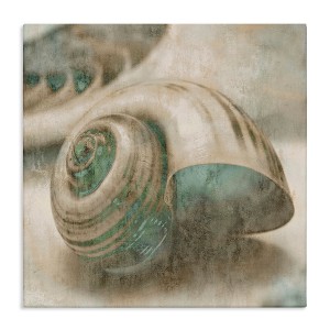 Stupell Industries Centered Sharkeye Seashell, 30" x 30" - 1 of 4