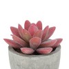Unique Bargains Artificial Plants Plastic Pink 2.44"x2.44"x3.35" 1 Pcs - 4 of 4
