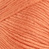 Lion Brand Truboo Yarn - 2 of 2