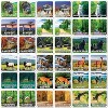 MasterPieces Officially Licensed Great Smoky Mountains Matching Game - 3 of 4