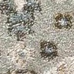 gray, olive, taupe, beige