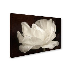 Trademark Fine Art -Cora Niele 'White Tulip III' Canvas Art - 1 of 3