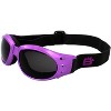 2 Pairs of Birdz Eyewear Eagle Safety Motorcycle Goggles with Smoke, Blue Lenses - 3 of 4