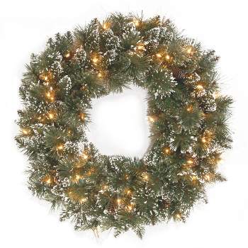 24" Pre-lit Glittery Bristle Pine Artificial Wreath Clear Lights - National Tree Company
