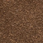 autumn brown