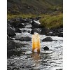 Vapur Anti-Bottle 23 oz. Limited Edition Sierra Mountainscape in California Gold (300179) - 3 of 4