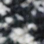 light silver, black, medium gray, silver gray