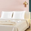 PiccoCasa Machine Washable Satin Zippered Pillowcase with Eye Mask & Scrunchie 2 Pcs - 4 of 4