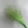 Alilang Decorative Dried Wispy Grass Stems for Home Decoration and Floral Arrangements, 17 Inches - image 3 of 3