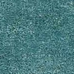 teal, cream, sage, green, medium gray