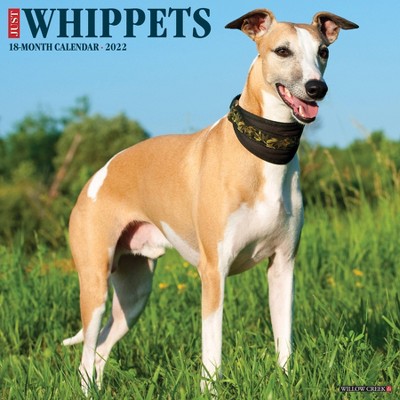 2022 Wall Calendar Just Whippets - Willow Creek Press