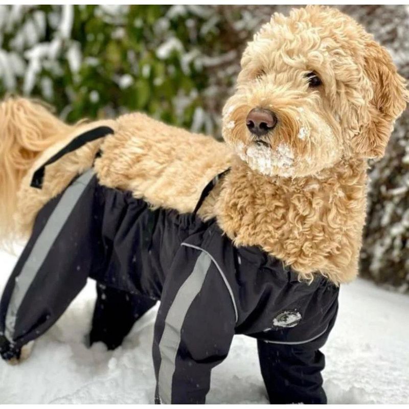FouFou Dog Bodyguard - Protective All-Weather Dog Pants - Black, 3 of 5