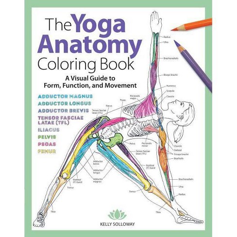 Download The Yoga Anatomy Coloring Book 1 By Kelly Solloway Paperback Target