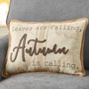 Pumpkin-Shaped or Embroidered Harvest Accent Pillows - 4 of 4