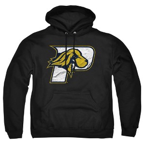 Men's Pace University Distressed Primary Logo Pull-Over Hoodie - 1 of 4