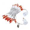 Novelty Lights 50 Light Incandescent Mini Christmas String Lights White Wire 11 Feet - 2 of 4