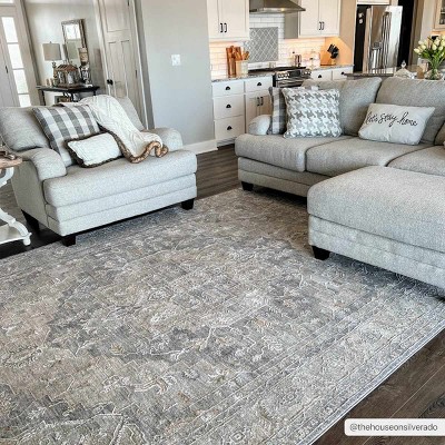 Hauteloom Ulubey Distressed Gray Area Rug