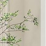 natural wood color