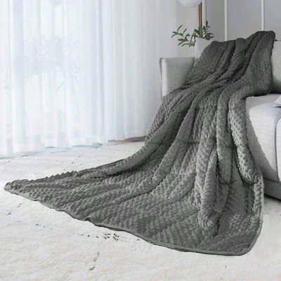 Reversible Weighted Blanket, 10lbs Grey, Luxury Velvet, All Season, Warm Cool, 48x72