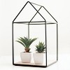 Floral Home 6" Aloe Plant Lifelike Succulent - 24-Piece - 3 of 4