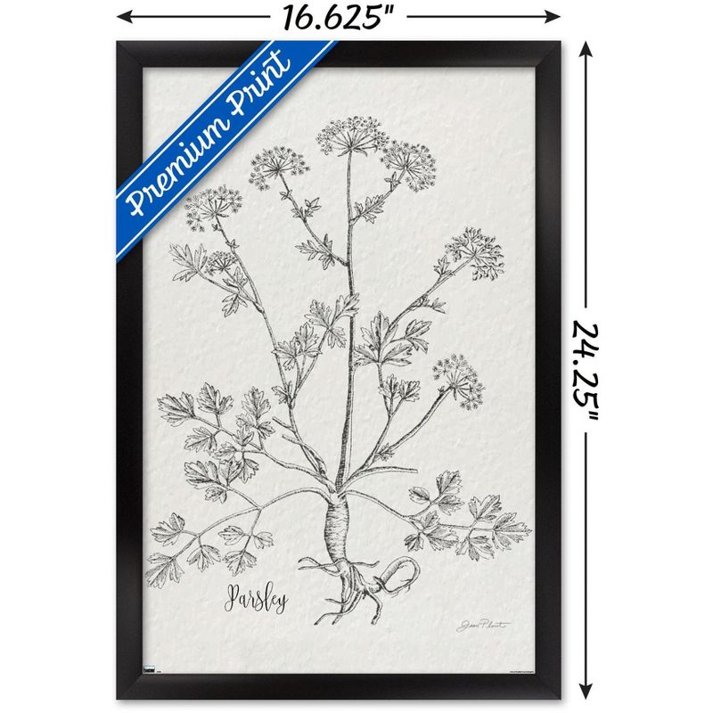 Trends International Jean Plout - Botanical Studies on Paper Parsley Framed Wall Poster Prints, 3 of 7