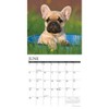Willow Creek Press French Bulldog Puppies 2025 Wall Calendar: Monthly, 12x12 Inches, Paper, Blue, All Ages - 3 of 4