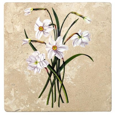 Christmas by Krebs Set of 4 Ivory and White Daffodils Square Coasters 4"