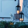 11" French Bulldog Skeleton Halloween Decorative Prop - Hyde and EEK! Boutique™: Indoor/Outdoor - 2 of 4