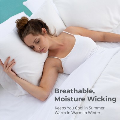 King Harbor Gray Hypoallergenic Cotton Pillowcase Set