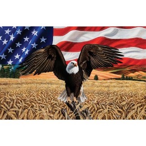 Sunsout Amber Waves of Grain 1000 pc   Jigsaw Puzzle 45809 - 1 of 4