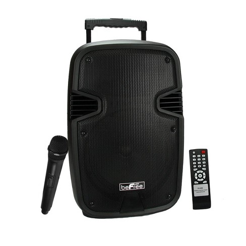 Speaker portable 2024 10 inch