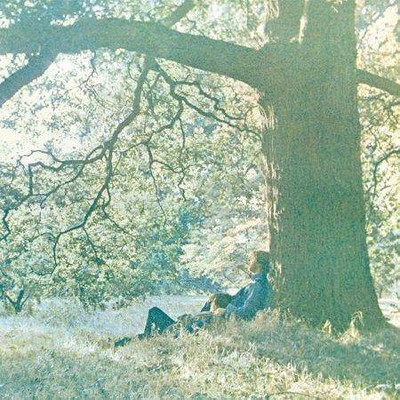 Yoko Ono - Plastic Ono Band (Vinyl)