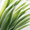 Sullivans Artificial Potted Varigated Agave 26"H Green - 2 of 4