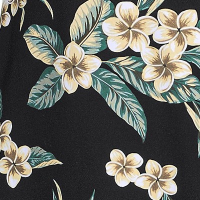 black plumeria border