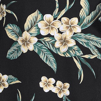 black plumeria border