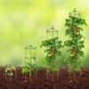 VEVOR 4 Packs Tomato Cages for Garden, 63 inch Tomato Trellis Plant Stakes Support, Stackable Tall Plant Support Cage, for Raised Garden Bed, Green - 2 of 4