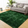 Fluffy Area Rug- Shag Area Rug for Living Room, Shaggy Large Indoor Thick Living Room Carpet with Non-Slip Backing, Soft Plush Carpet - 3 of 4