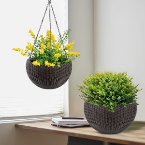 plant moss pole Moss Pole 36
