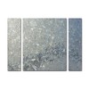 Trademark Fine Art - Kurt Shaffer 'Frost Pattern Sun Stars' - 2 of 3