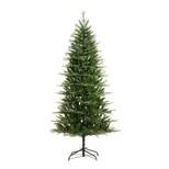 7ft Pre-Lit LED Asheville Artificial Christmas Tree - Haute Décor