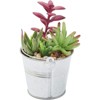 Juvale 4 Pack Artificial Succulents Plants, Faux Fake Cactus with Iron Bucket for Garden & Patio Decor, 6.5 in - image 4 of 4