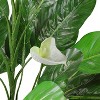 Northlight 47.5" Tropical Peace Lily Spathe Artificial Potted Plant - Green/White - 2 of 4