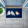 Stupell Industries Perched Trio of Song Birds Printed Outdoor Door Mat, design by Lorenzo Collective, 18"x30" - 3 of 4