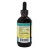 Herbs for Kids Echinacea/Astragalus Deep Immune Support Liquid for Seasonal Defense and Daily Wellness – 2 oz - 2 of 4